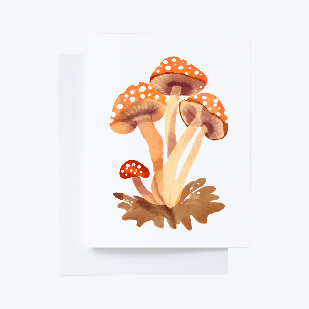 10 Orange Mushroom Watercolor Any Occasion Note Cards