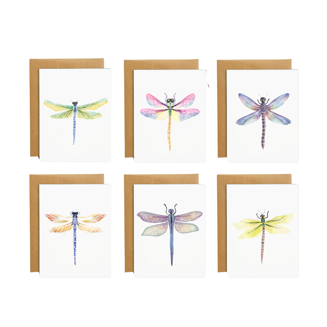 Set of 24 Any Occasion Dragonfly Cards